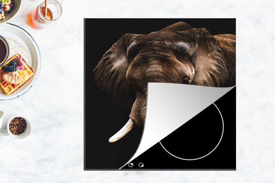 KitchenYeah® Inductie beschermer 78x78 cm - Olifant - Papegaai - Tanden - Kookplaataccessoires - Afdekplaat voor kookplaat - Inductiebeschermer - Inductiemat - Inductieplaat mat