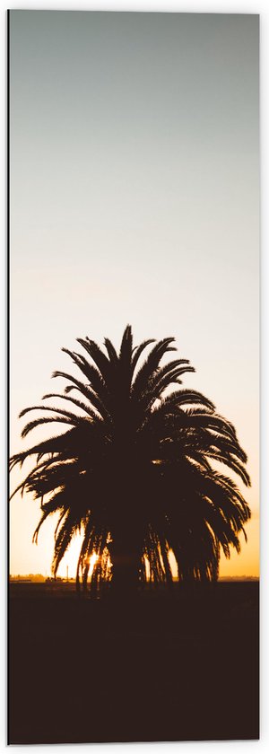 WallClassics - Dibond - Silhouet van Palmboom met Lange Bladeren - 40x120 cm Foto op Aluminium (Met Ophangsysteem)