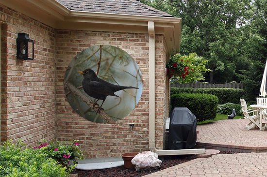 Garden Circle Vogel - Blackbird - Branches - Animaux - 120x120 cm - Affiche Ronde de Jardin - Extérieur XXL / Groot format !