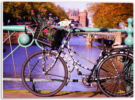 WallClassics - PVC Schuimplaat - Zwarte bloementjes Fiets voor Blauw Hek bij het Water - 40x30 cm Foto op PVC Schuimplaat (Met Ophangsysteem)