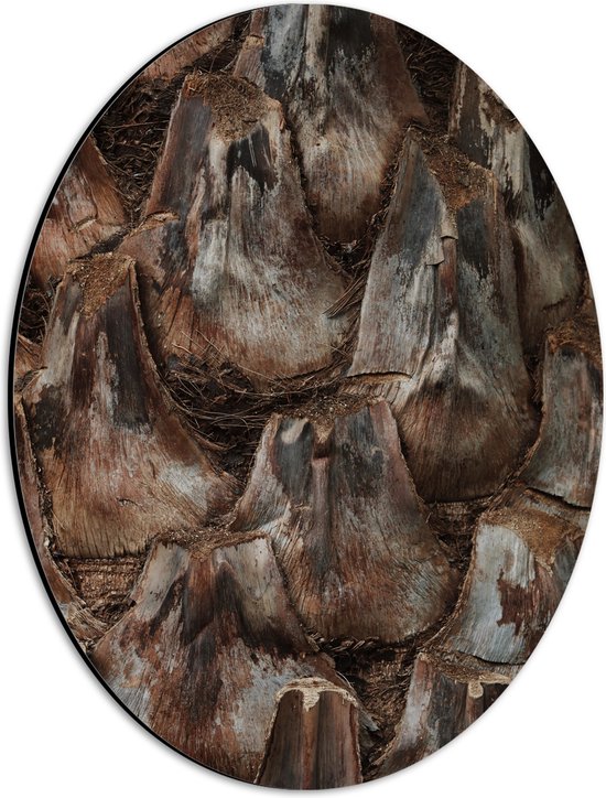 Dibond Ovaal - Schors van Palmboom - 30x40 cm Foto op Ovaal (Met Ophangsysteem)