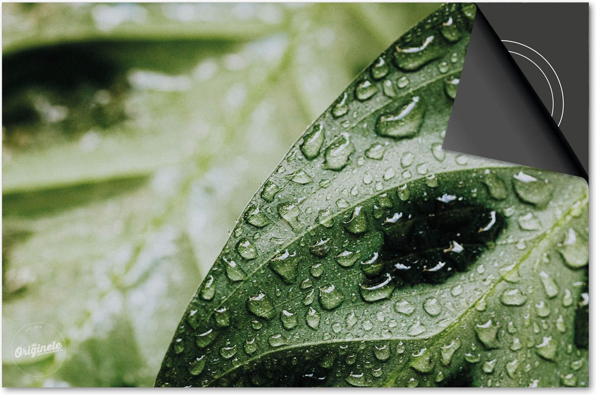 Inductie beschermer 78x52 - afdekplaat inductie mat - Dietrix Kookplaat beschermer - DELUXE - Leaves - 6 Blad met druppels