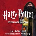 Harry Potter en de Steen der Wijzen