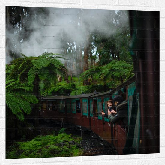 WallClassics - Muursticker - Stoom Trein door de Jungle - 100x100 cm Foto op Muursticker