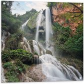 Tuinposter – Hoge Watervallen tussen de Bomen en de Planten in het Regenwoud - 80x80 cm Foto op Tuinposter (wanddecoratie voor buiten en binnen)