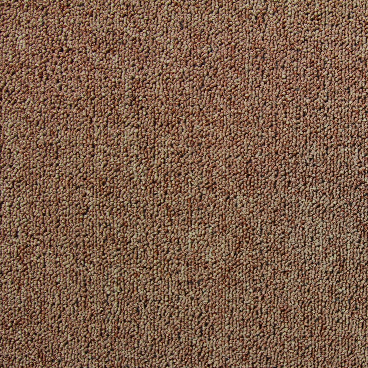 20 x Tapijttegels - Tapijt tegel set - 50x50cm 5m2 - Zand