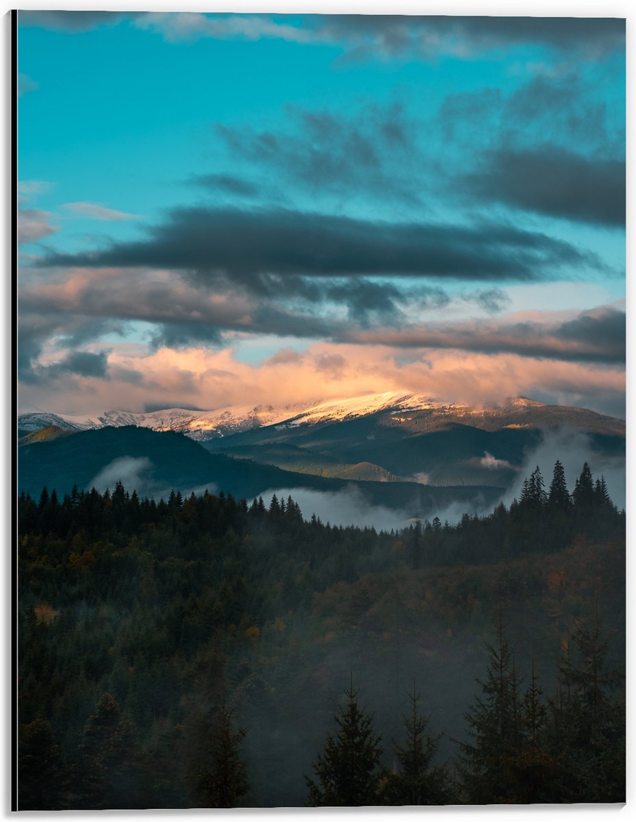 Dibond - Bos aan de Rand van Berglandschap onder Sluierbewolking - 30x40 cm Foto op Aluminium (Wanddecoratie van metaal)