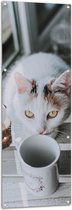 Tuinposter – Witte Kat bij een Kopje Thee - 50x150 cm Foto op Tuinposter (wanddecoratie voor buiten en binnen)