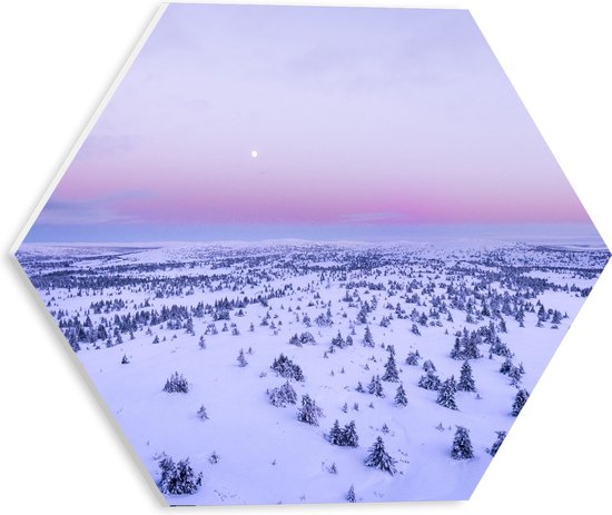 PVC Schuimplaat Hexagon - Besneeuwd Landschap met Bomen vanaf Bovenaanzicht - 30x26.1 cm Foto op Hexagon (Met Ophangsysteem)