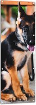 WallClassics - Tuinposter – Onschuldige Herder Puppy - 50x150 cm Foto op Tuinposter (wanddecoratie voor buiten en binnen)