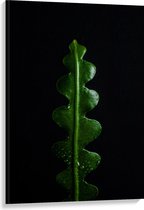 WallClassics - Canvas - Wikkelvormige Groene Plant - 80x120 cm Foto op Canvas Schilderij (Wanddecoratie op Canvas)