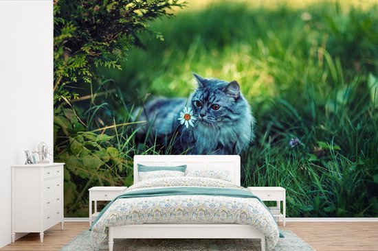 Papier peint Papier peint photo en vinyle - Chat gris largeur 330 cm x hauteur 220 cm - Tirage photo sur papier peint (disponible en 7 tailles)