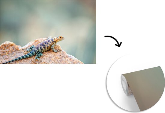 Papier fotobehang Portrait d'un lézard coloré