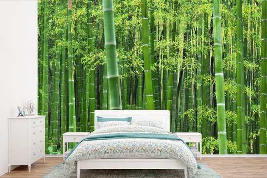 Papier peint - Papiers Papier peint photo - Forêt de bambous - Largeur 390 cm x Hauteur 260 cm