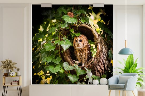 Papier peint vinyle - Un hibou fauve dans un tronc d'arbre largeur 300 cm x hauteur 300 cm - Tirage photo sur papier peint (disponible en 7 tailles)