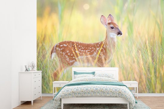 Papier peint Papier peint photo en vinyle - Daim au lever du soleil largeur 385 cm x hauteur 280 cm - Tirage photo sur papier peint (disponible en 7 tailles)