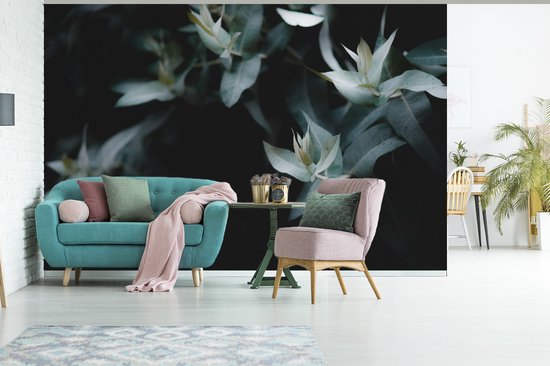 Papier peint Papier peint photo en vinyle - Branches d'eucalyptus sur fond sombre largeur 330 cm x hauteur 220 cm - Tirage photo sur papier peint (disponible en 7 tailles)