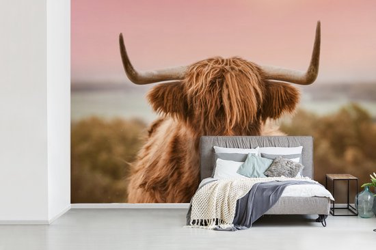 Papier peint - Papier peint photo Vache - Highlander écossais - Animal - Largeur 525 cm x hauteur 350 cm