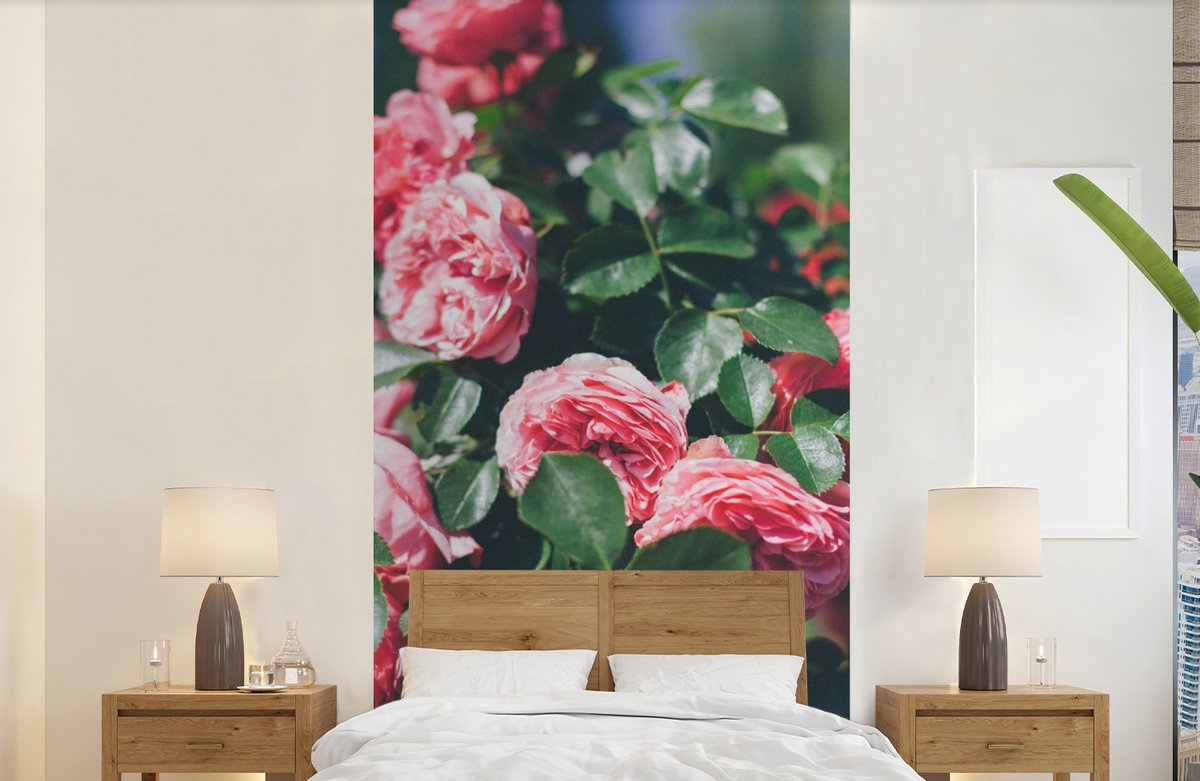 Behang - Fotobehang roze roos in zomertuin - Breedte 120 cm x hoogte 240 cm