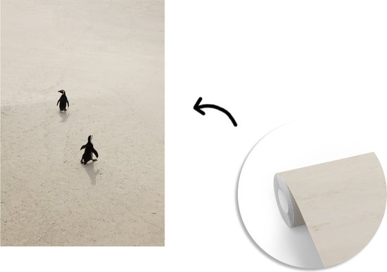 Papier peint - Papier peint photo Deux pingouins marchent sur le sable en Afrique du Afrique - Largeur 170 cm x hauteur 260 cm