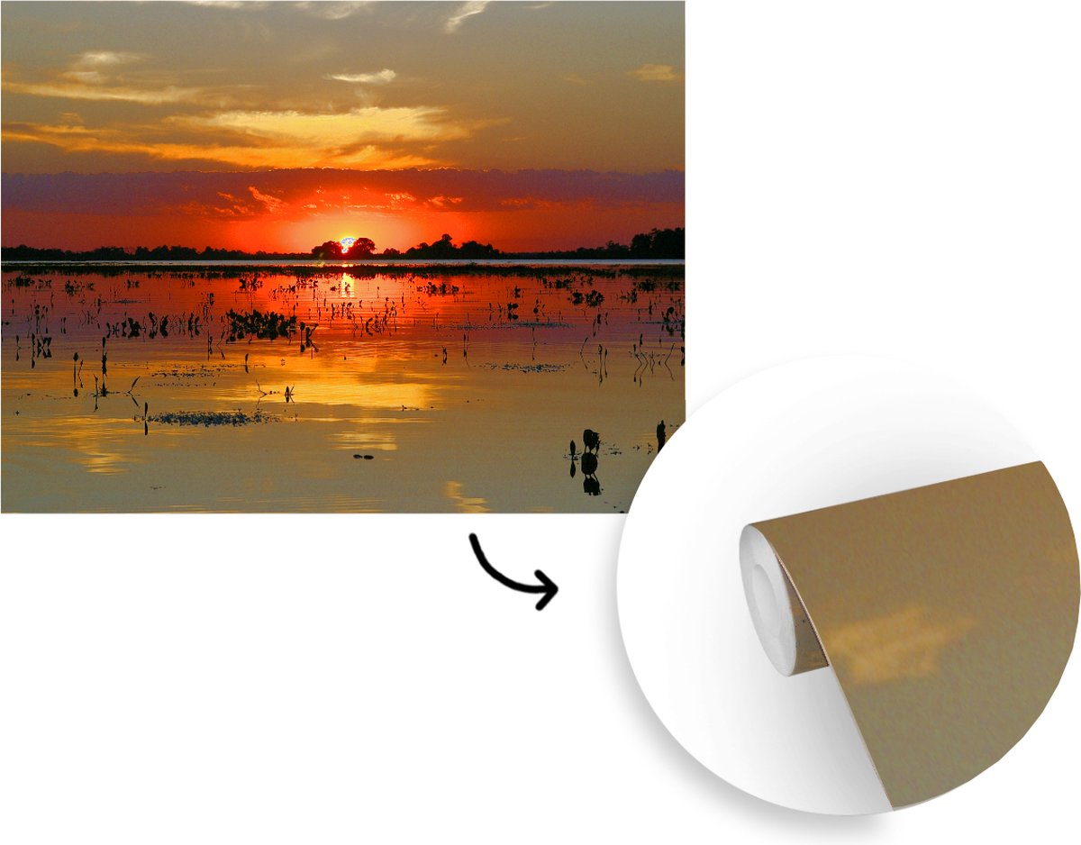 Behang - Fotobehang Rode gloed in de lucht bij de Pantanal - Breedte