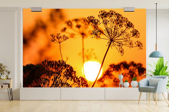 Behang - Fotobehang Planten - Bloemen - Zonsondergang - Oranje - Breedte 405 cm x hoogte 260 cm