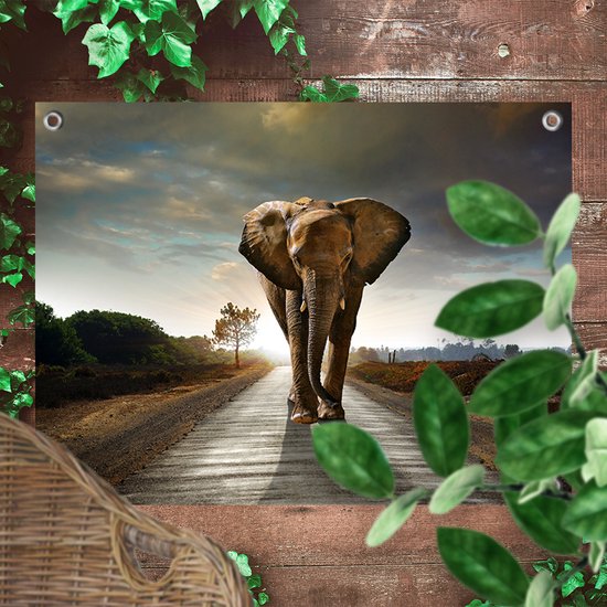 Tuinposter Walking Elephant