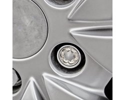 Fullstop Security Guardian velgen slot bout voor caravan ( set van 2 stuks )
