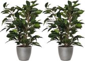 2x stuks groene ficus kunstplant 40 cm met plantenpot zilver metallic D13.5 en H12.5 cm
