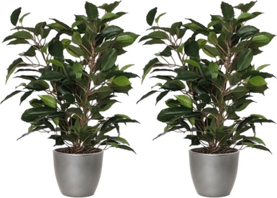 2x morceaux de plante artificielle ficus vert 40 cm avec cache-pot argent métallisé D13,5 et H12,5 cm