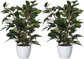 2x stuks groene ficus kunstplant 40 cm met plantenpot glanzend wit D13.5 en H12.5 cm