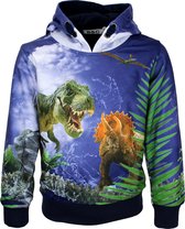 Schattige Dinosaurus Hoodies Voor Koppels,Katoenen Lange Mouwen Casual Losse Paar Hoodies,Trui Met Capuchon Met Zakken (1 stuk