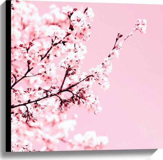 Canvas - Bloesem Volgroeide Boom tegen Roze Lucht - 60x60 cm Foto op Canvas Schilderij (Wanddecoratie op Canvas)