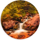 Dibond Muurcirkel - Kleine Waterval door het Bos vol Bomen en Keien - 120x120 cm Foto op Aluminium Muurcirkel (met ophangsysteem)