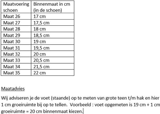 La Señorita Prinsessen schoenen meisjes - paars glitter met hakje - maat 31 - binnenmaat 19,5 cm - bij verkleedjurk