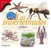 Guías de campo - Los invertebrados