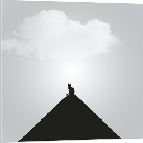 WallClassics - PVC Schuimplaat- Kat op Piramide - 80x80 cm Foto op PVC Schuimplaat
