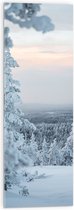 Acrylglas - Besneeuwde Bomen op Berg - 30x90 cm Foto op Acrylglas (Met Ophangsysteem)
