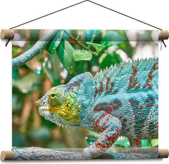 WallClassics - Textielposter - Panterkameleon in de Natuur - 40x30 cm Foto op Textiel