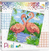 Pixelhobby complete set - Flamingo's