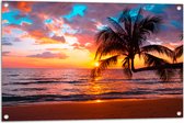 Tuinposter – Palmboom op Prachtig Verlaten Strand met Zonsondergang - 90x60 cm Foto op Tuinposter (wanddecoratie voor buiten en binnen)