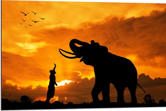 Dibond - Silhouet van Olifant met Persoon en Vogels in Afrika - 90x60 cm Foto op Aluminium (Met Ophangsysteem)