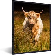 Fotolijst incl. Poster - Schotse Hooglander - Licht - Gras - Dieren - 60x80 cm - Posterlijst