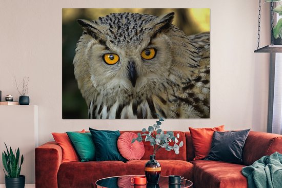 Photo d'une toile européenne hibou grand-duc d'Asie 160x120 cm - Tirage photo sur toile (Décoration murale salon / chambre) XXL / Groot format!