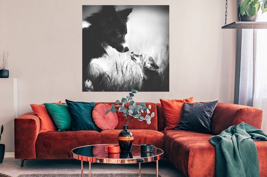 Poster Kennismaking tussen hond en vos - 100x100 cm XXL