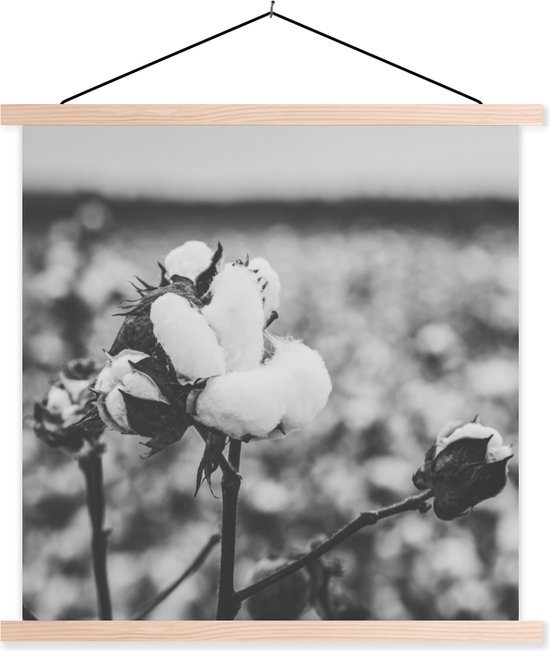 Posterhanger 60cm Zwart met Ophanggat