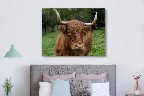 Tableau sur toile Highlander écossais - Animaux - Herbe - 160x120 cm - Décoration murale XXL