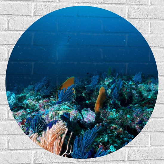 WallClassics - Muursticker Cirkel - Koraal onder Water - 80x80 cm Foto op Muursticker