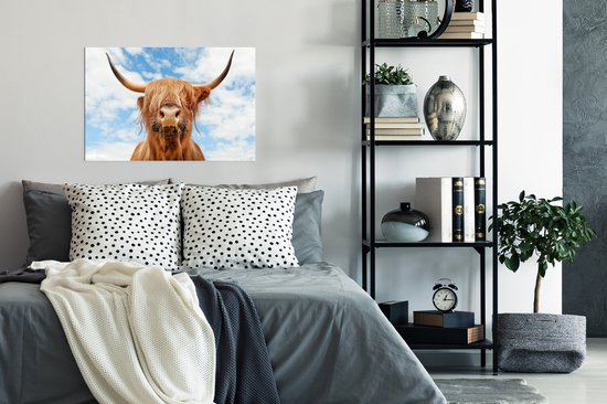 Affiche Highlander écossais - Nuage - Animaux - 90x60 cm