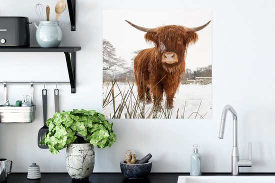 Poster Highlander écossais en hiver 50x50 cm - Tirage photo sur Poster (décoration murale salon / chambre) / Poster Animaux sauvages